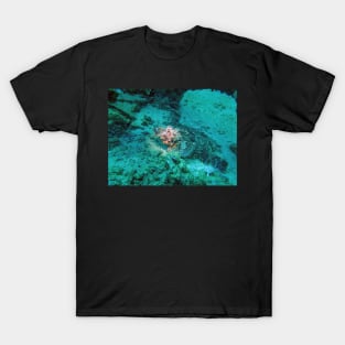 scorpion fish T-Shirt